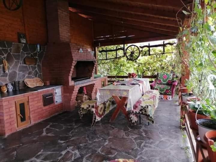 Pensiunea Brezu Sighetu Marmaţiei 外观 照片