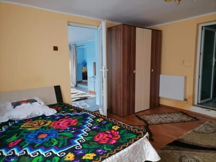 Pensiunea Brezu Sighetu Marmaţiei 外观 照片