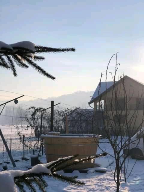 Pensiunea Brezu Sighetu Marmaţiei 外观 照片