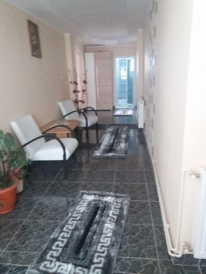 Pensiunea Brezu Sighetu Marmaţiei 外观 照片