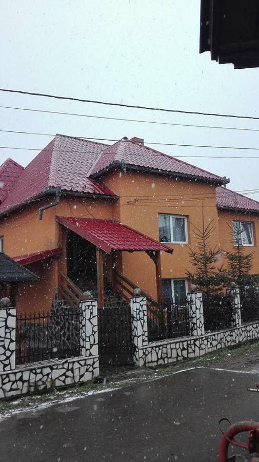 Pensiunea Brezu Sighetu Marmaţiei 外观 照片
