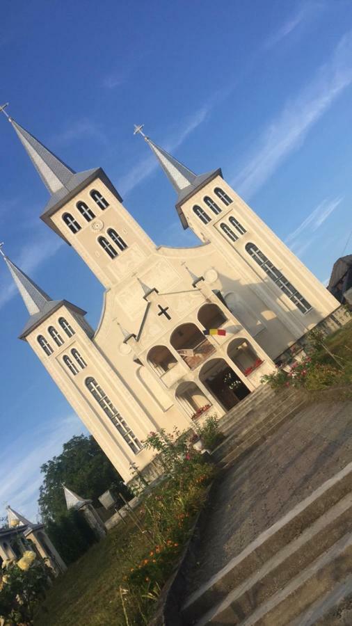 Pensiunea Brezu Sighetu Marmaţiei 外观 照片